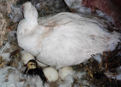 Прикрепленное изображение: IMG_20210623_223125_resize_35.jpg